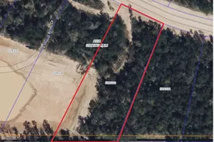 7737 Dog Wood Acres Dr, Montgomery, TX 77316 - Photo 9