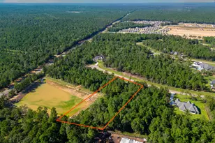 7737 Dog Wood Acres Dr, Montgomery, TX 77316 - Photo 5