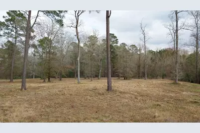 Tbd Noah Court, Huntsville, TX 77320 - Photo 3