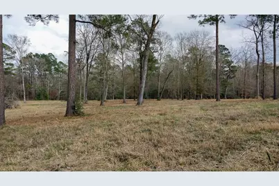 Tbd Noah Court, Huntsville, TX 77320 - Photo 1