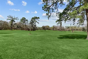 14223 Indian Wells Dr, Houston, TX 77069 - Photo 39