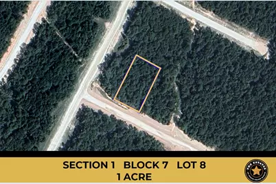 115 Bunkhouse Road, New Waverly, TX 77358 - Photo 1