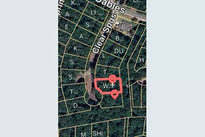 Tbd N Clear Spring Road, Trinity, TX 75862 - Photo 1