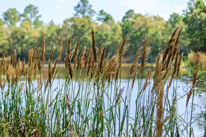 2258 Fm 3459, Onalaska, TX 77360 - Photo 21