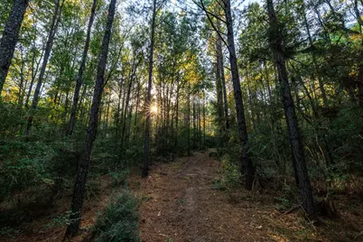 2258 Fm 3459, Onalaska, TX 77360 - Photo 27