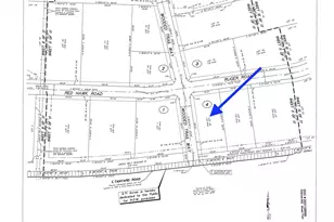 10999 Ruger Rd, Willis, TX 77378 - Photo 3