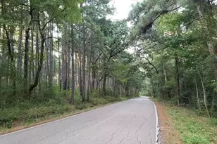 0 Sycamore Dr, Montgomery, TX 77356 - Photo 5