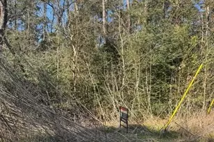 0 Sycamore Dr, Montgomery, TX 77356 - Photo 1