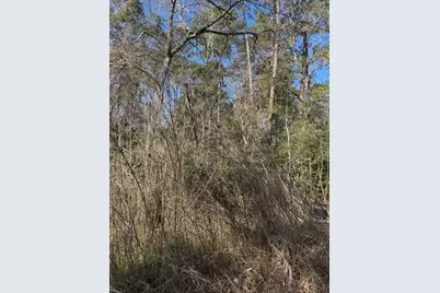 0 Sycamore Drive, Montgomery, TX 77356 - Photo 3