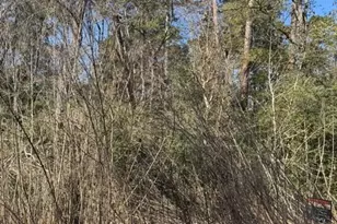 0 Sycamore Dr, Montgomery, TX 77356 - Photo 3