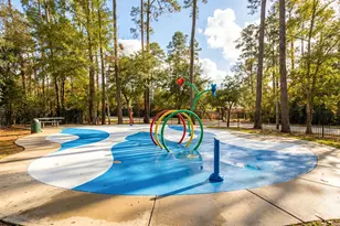 20105 Bitter Root Ct, Porter, TX 77365 - Photo 33