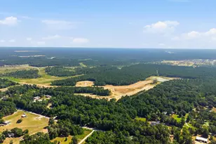 12259 Crockett Martin Rd, Conroe, TX 77306 - Photo 7