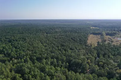 Tract 5 Trinity Lady Park Road, Trinity, TX 75862 - Photo 7