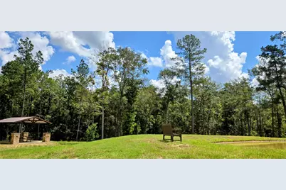 344 Exploration Road, Willis, TX 77378 - Photo 19