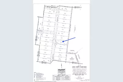 344 Exploration Road, Willis, TX 77378 - Photo 11