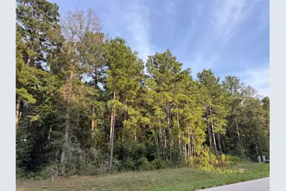 344 Exploration Road, Willis, TX 77378 - Photo 7