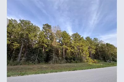 344 Exploration Road, Willis, TX 77378 - Photo 5
