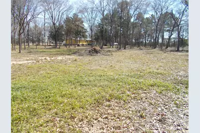 10192 County Road 413, Navasota, TX 77868 - Photo 21