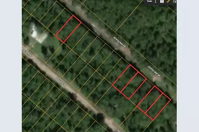 154 Myrtle Mae Drive, Livingston, TX 77351 - Photo 1