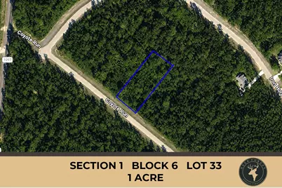 110 Coyote Run, Willis, TX 77378 - Photo 1