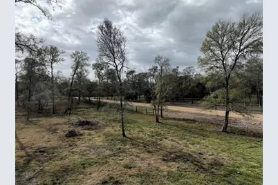 15425 Tierra Grande Drive, Needville, TX 77461 - Photo 7