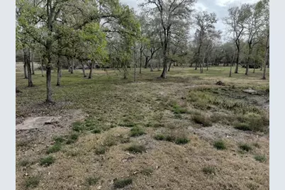 15425 Tierra Grande Drive, Needville, TX 77461 - Photo 5