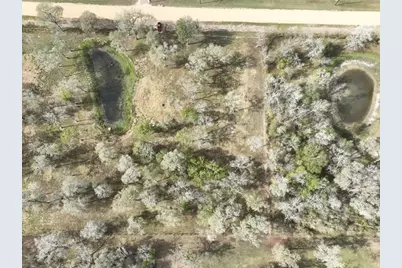 15425 Tierra Grande Drive, Needville, TX 77461 - Photo 3