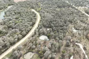 15425 Tierra Grande Dr, Needville, TX 77461 - Photo 1