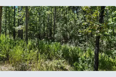188 Camp Road, Trinity, TX 75862 - Photo 35