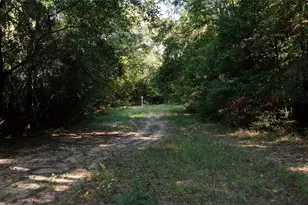 0000 Pearson Rd, Montgomery, TX 77356 - Photo 9