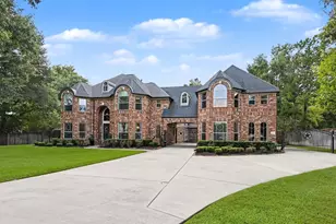 9010 Willow Springs Ln, Conroe, TX 77302 - Photo 3