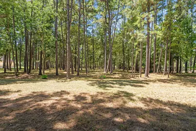28712 Beth Marie, Magnolia, TX 77355 - Photo 7