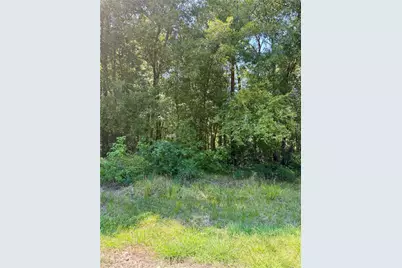 Tbd Underwood, Livingston, TX 77351 - Photo 3