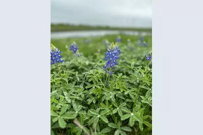 1716 B County Road 469, Coupland, TX 78615 - Photo 27
