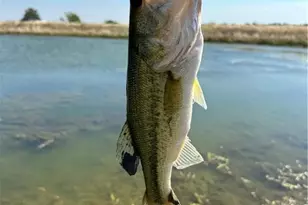 1716 B County Road 469, Coupland, TX 78615 - Photo 25
