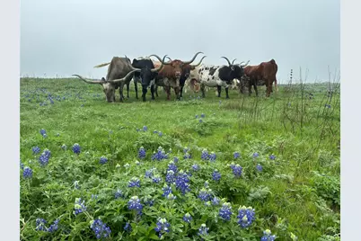 1716 B County Road 469, Coupland, TX 78615 - Photo 15