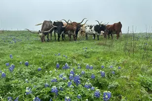 1716 B County Road 469, Coupland, TX 78615 - Photo 15