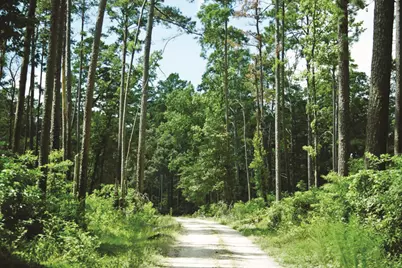 5-6-228 Dipping Vat Road, Huntsville, TX 77340 - Photo 25