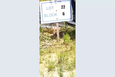 65 Coyote Run Road, New Waverly, TX 77358 - Photo 1