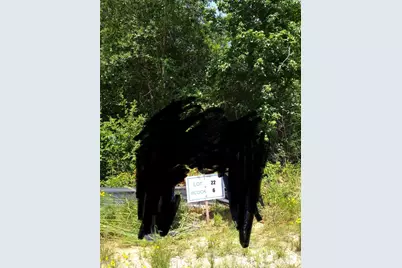 65 Coyote Run Road, New Waverly, TX 77358 - Photo 7