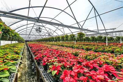 511 W Main Street, Weimar, TX 78962 - Photo 17