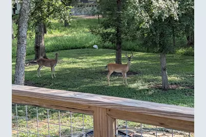 3477 Bradley Lane, Brenham, TX 77833 - Photo 33