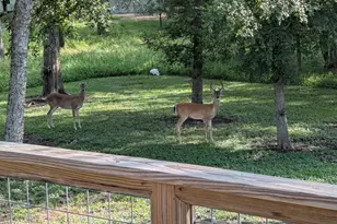 3477 Bradley Ln, Brenham, TX 77833 - Photo 33