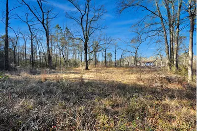 271 Trails End Drive, Cleveland, TX 77328 - Photo 39