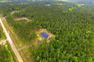 3143 Co Rd 4300, Woodville, TX 75979 - Photo 3