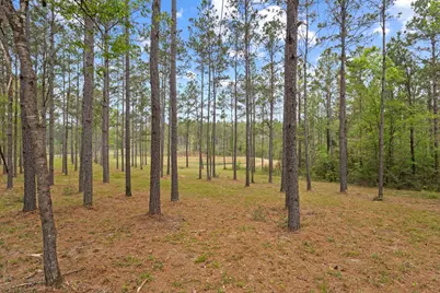 3143 County Rd 4300, Woodville, TX 75979 - Photo 39