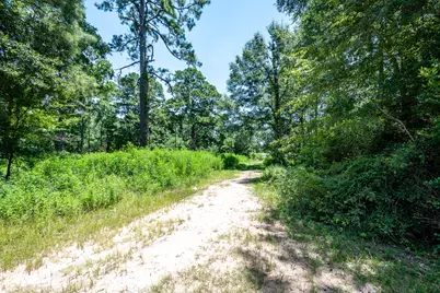 10710 Waukegan Road, Conroe, TX 77306 - Photo 7