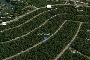 Lot 455 Wood Forest, Livingston, TX 77351 - Photo 1