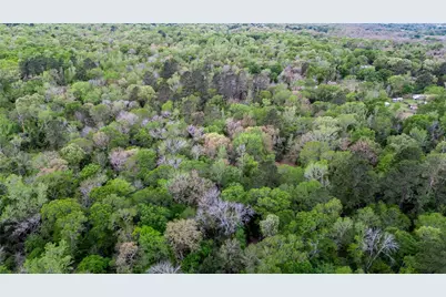 Tbd Private Road 1120, Leona, TX 75850 - Photo 15