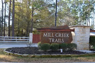 27094 Grey Fox Run, Magnolia, TX 77354 - Photo 1